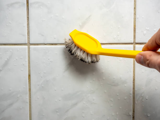 Best Toxic Mold Removal  in Taylorsville, UT